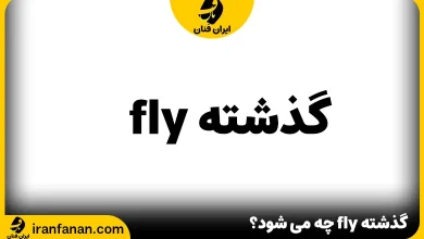 گذشته fly در انگلیسی چه می شود؟